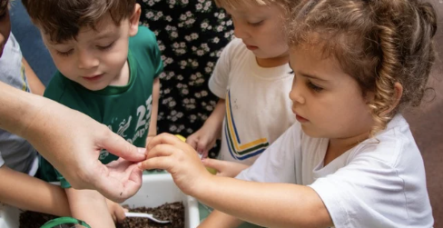 Tu Bishvat na escola