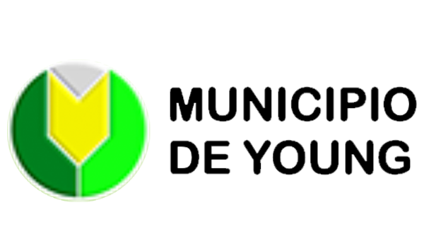 SFL Honey - Municipio de Young